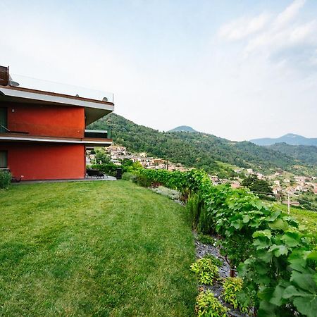 Agriturismo Podere Cavaga Lago D'Iseo Agribio Winery Foresto Sparso Екстериор снимка
