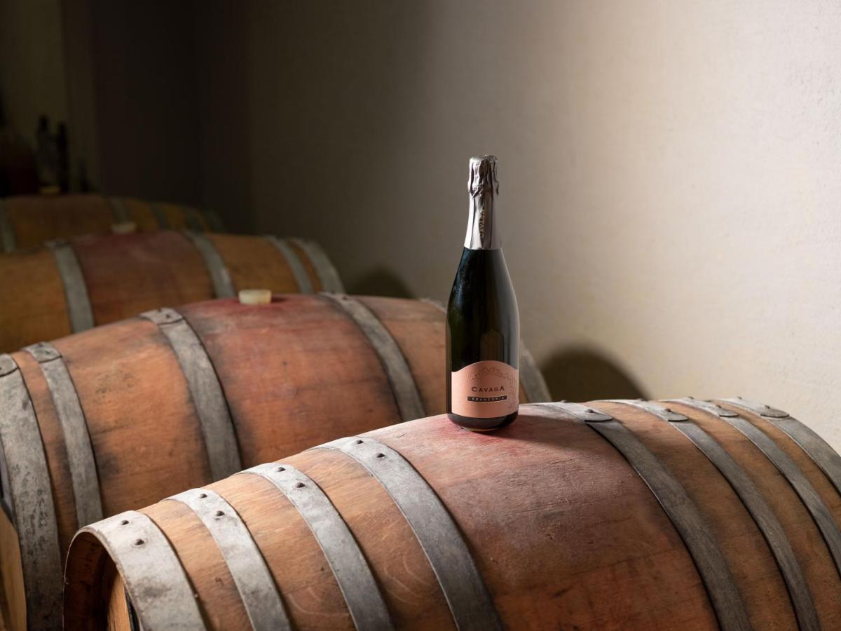 Agriturismo Podere Cavaga Lago D'Iseo Agribio Winery Foresto Sparso Екстериор снимка